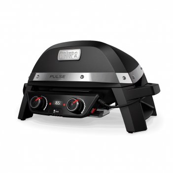   weber pulse 2000  