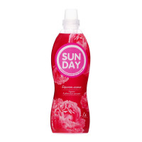    Sunday   , 1 