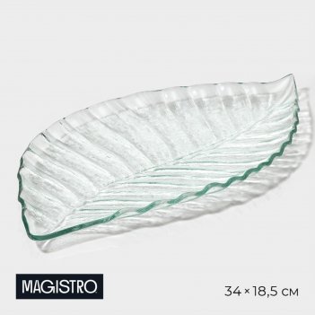    magistro , 34x18,5x1,9 ,  