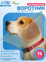      ,  15  ( )