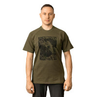  GRAYLING Catfish,  ,  ,  M