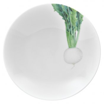   noritake    23