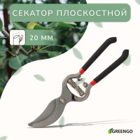  , 10 (25 ),    , Greengo