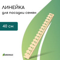    , 40 , Greengo