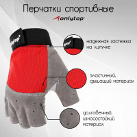   ONLYTOP, . L,  