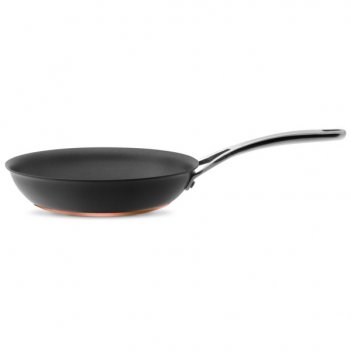  anolon nouvelle copper 24