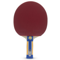     atemi pro 1000 an