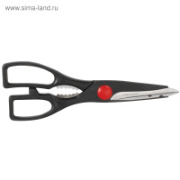   regent inox forte,  200x2.5 