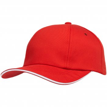  bizbolka canopy,    