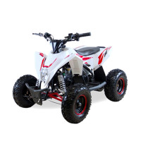    motax gekkon 90cc 1+1 (), -
