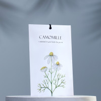  camomille