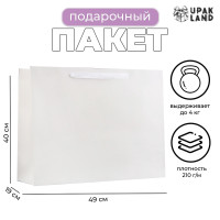     , XL 49 40 19 