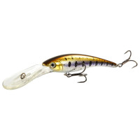   lj original deep shiner, f, 9 ,  a029