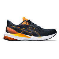    Asics GT-1000 12,  10 US