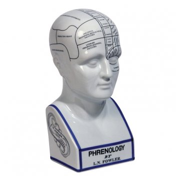  phrenology head