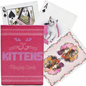  ellusionist madison kittens