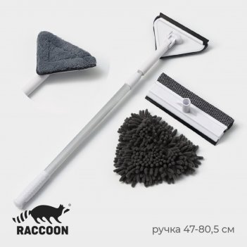     raccoon,  ,      