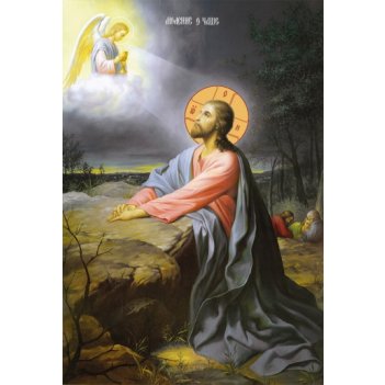 ������� � ����, ����� (���.00630)