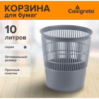      10 , alligrata  , , , 