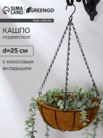  , d=25 ,   , , greengo