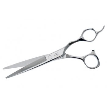    shorem master 6.5