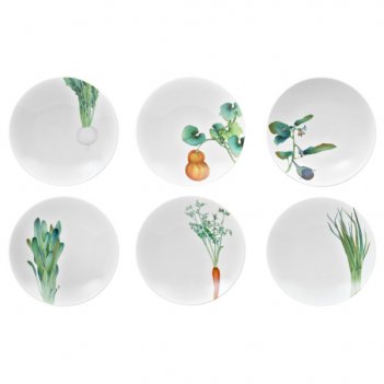     noritake   23, 6, /