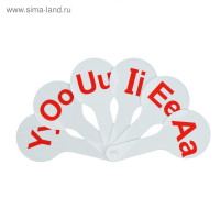 -,   , Calligrata,   