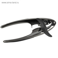   regent inox cucina