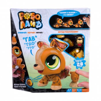 1TOY     (  )  . 