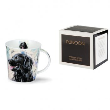  dunoon . 480