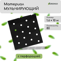  ,  , 10   1,6 ,  80 / ,   -, , Greengo,  30%