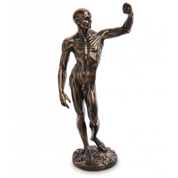 Pr-hou01  (anatomical study.parastone)