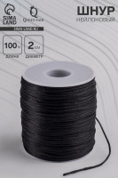     d=2 , L=100 , 