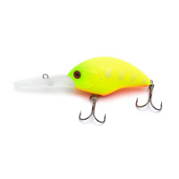  Namazu HippoCampus L-60 , 18 , , , 2.5 - 4.5 ,  8