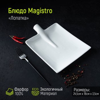  magistro , 24,5x18 
