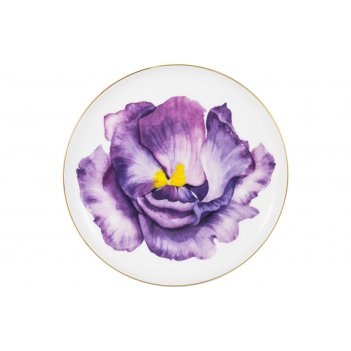   iris, 19 