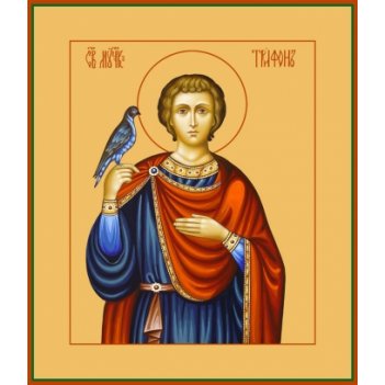 ������ �������, ����� (���.00979)