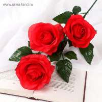   , 10 61 , 