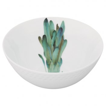   noritake    14
