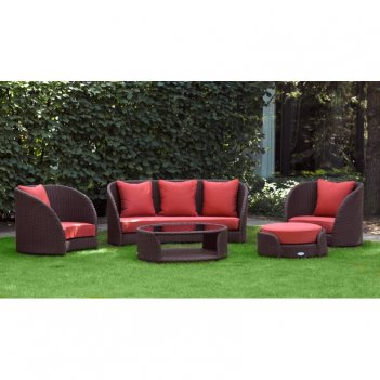   bellarden tulipe,  