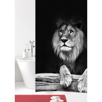     lion, 180200 