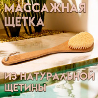   ,   , 38.5 8 4.5 