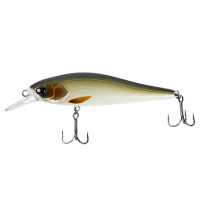  . LJ Pro Series ANIRA SP, 8.9 ,  703