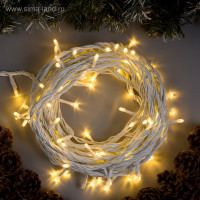   10 , ip44, ,  , 100 led,   , 220 