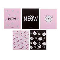  48   , Calligrata Meow, 