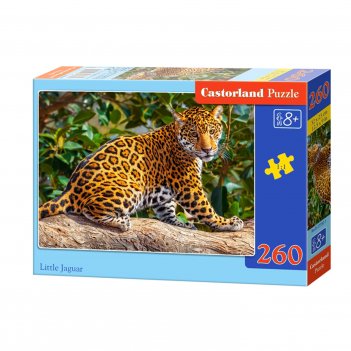   , 260 