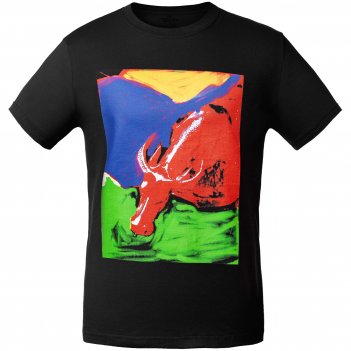  toro, 