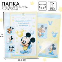     ,  ,   14.2 20.5  disney (  )