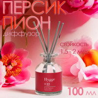   hygge #22    100 