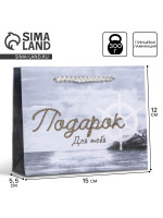   , , Present for you, S 15  12  5.5 